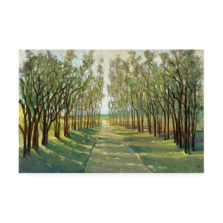 Tim Otoole 'Forest Path' Canvas Art,12x19